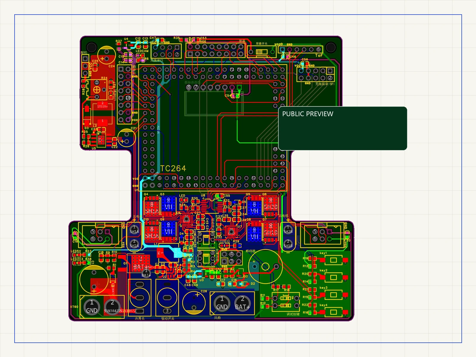 PCB 公开预览；身份信息区域已用 PUBLIC PREVIEW 遮盖。